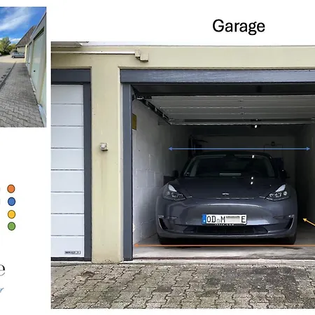 Silbermöwe * Scharbeutz