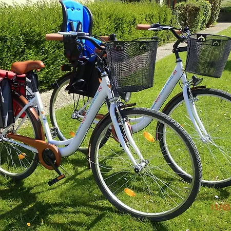 Silbermöwe Apartment Scharbeutz